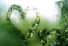 上海后花园种植攻略，共享绿色生活